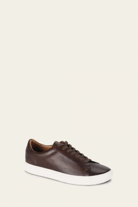 FRYE | MEN'S ASTOR LOW LACE-Brown